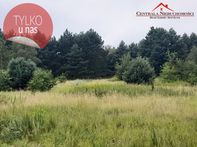 Działka Sprzedaż Gutowo-Leśnictwo Leśna 1