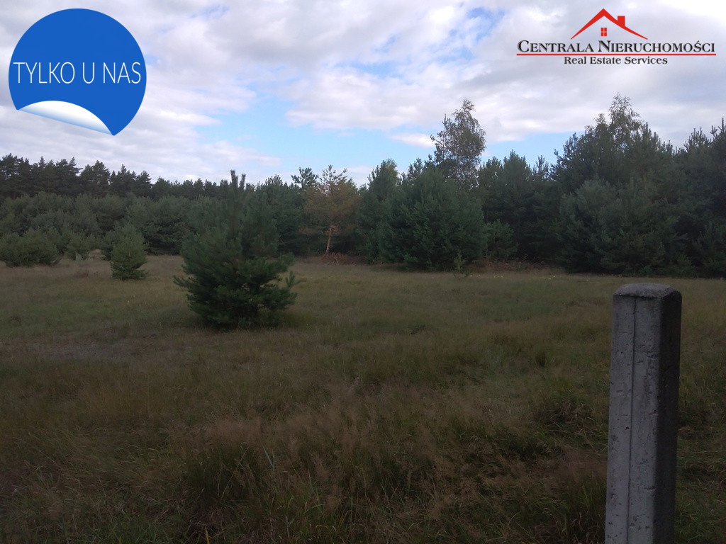 Działka Sprzedaż Cegielnik