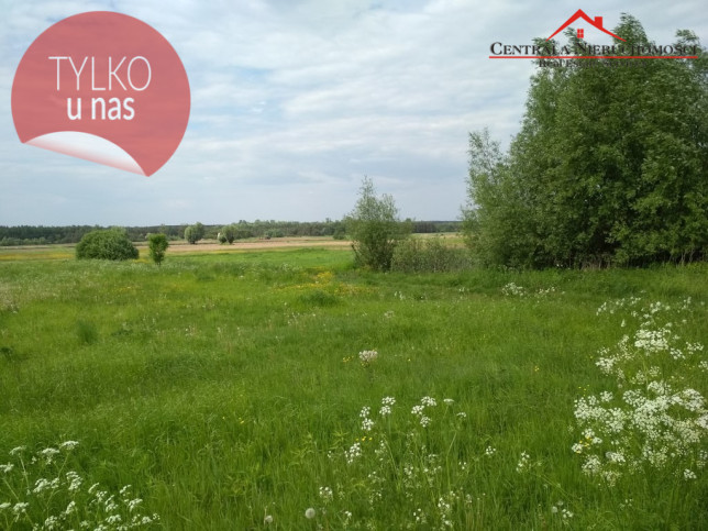 Działka Sprzedaż Zarośle Cienkie 1