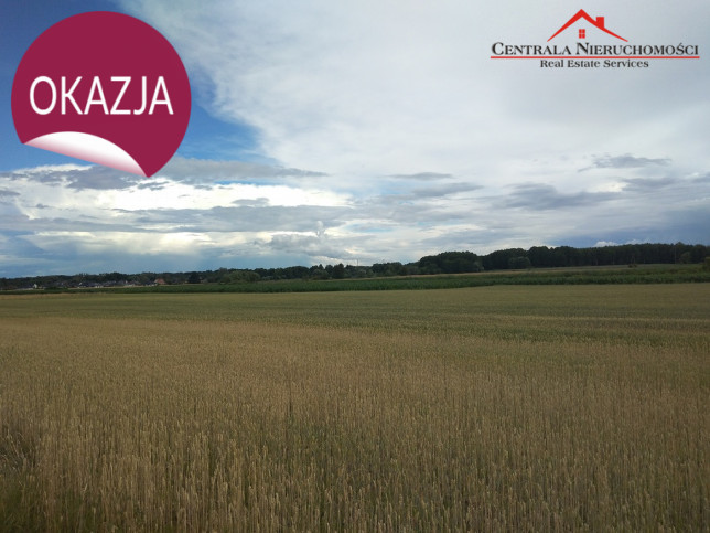 Działka Sprzedaż Mała Nieszawka 1