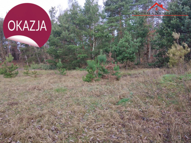 Działka Sprzedaż Nowa Wieś 1