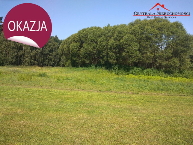 Działka Sprzedaż Toporzysko 1