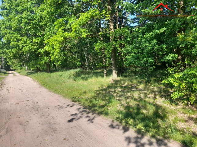 Działka Sprzedaż Zamek Bierzgłowski 8